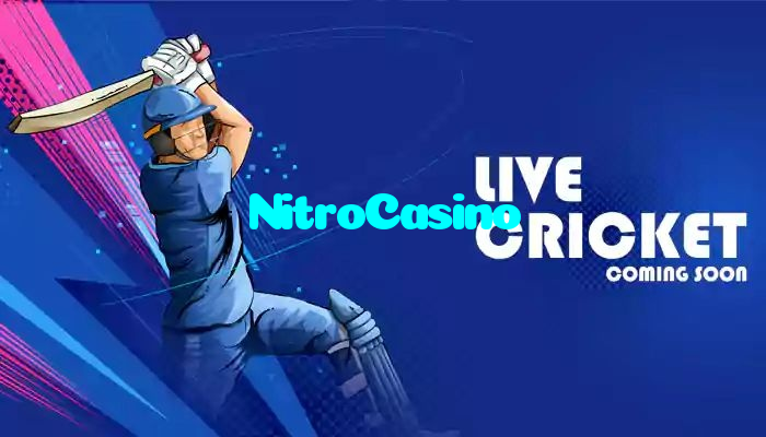available types of NitroCasino bet including pre-match live express and system bets